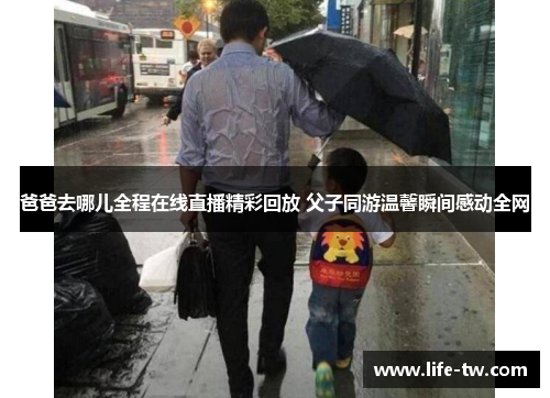 爸爸去哪儿全程在线直播精彩回放 父子同游温馨瞬间感动全网
