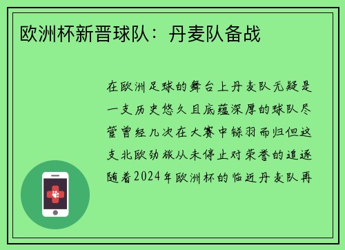 欧洲杯新晋球队：丹麦队备战