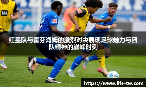 红星队与霍芬海姆的激烈对决展现足球魅力与团队精神的巅峰时刻