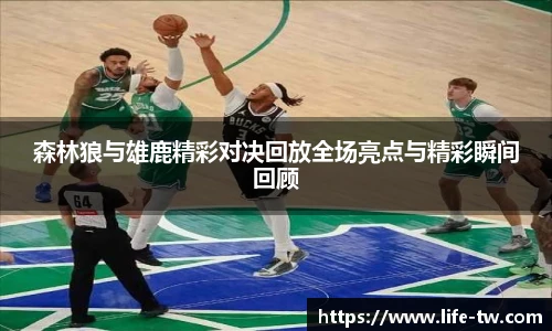 ld乐动新版本